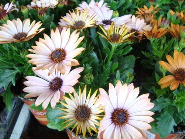 [May11-15,2009-sony023.JPG]