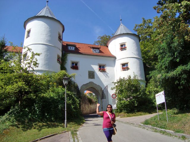 [Aug.15,2009-sony.straubing003_edited.JPG]