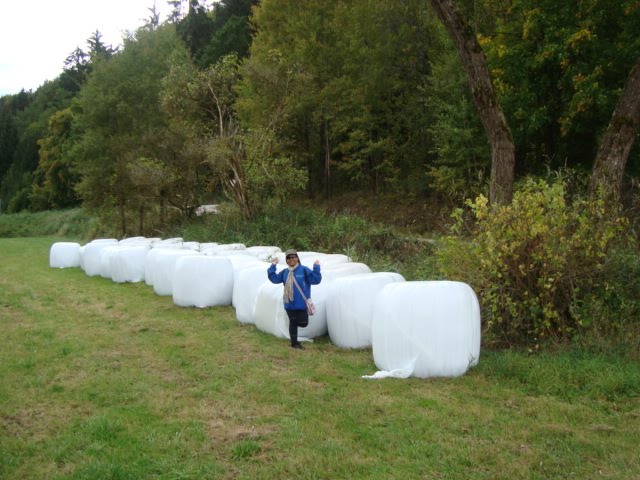 [Oct.3-4,2009.sony.hhnfls.flwrs137.JPG]