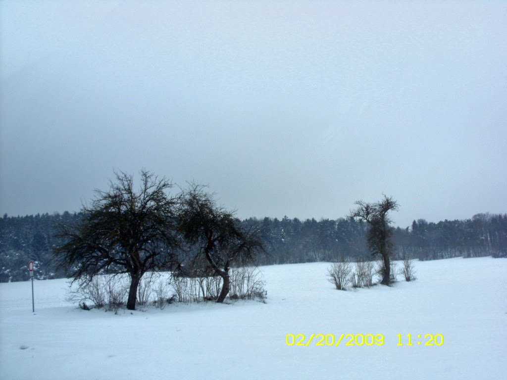 [Feb19-22,2009-faschingvelburg192_edited.JPG]