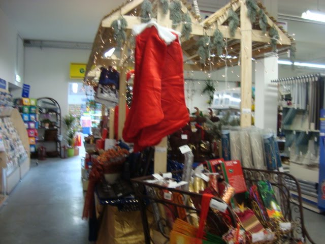 [Oct.23-26,2009.sony.psrbrg.hhnfelsflwrs002.JPG]