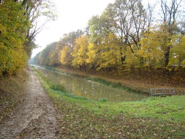 [Oct.28,2009-hhnfls.mning176.JPG]