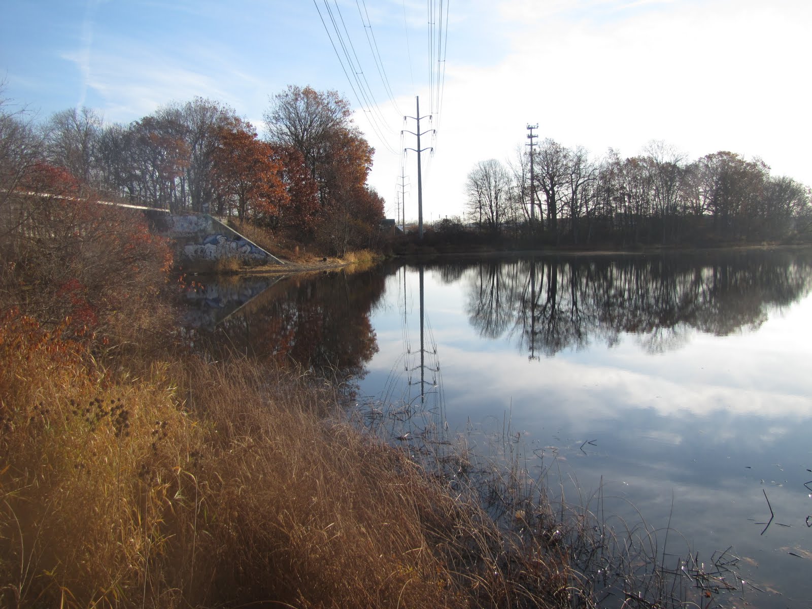 Circling the Smiling Pond November 2010