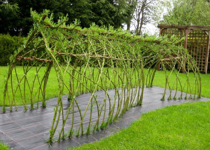 craftsmidwales LIVING WILLOW TUNNEL