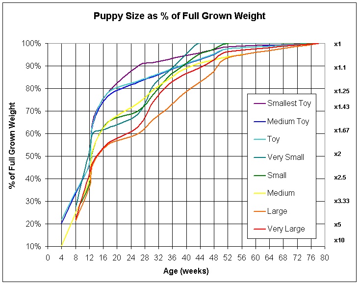 bernese mountain dog growth chart bernese mountain dog growth chart