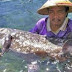 Coelacanth, Sanggahan bagi Evolusionis