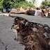 Memonitor Gempa dari Ponsel