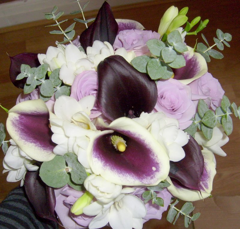 calla lily vermeer