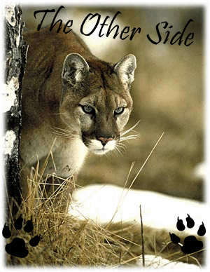 The other side