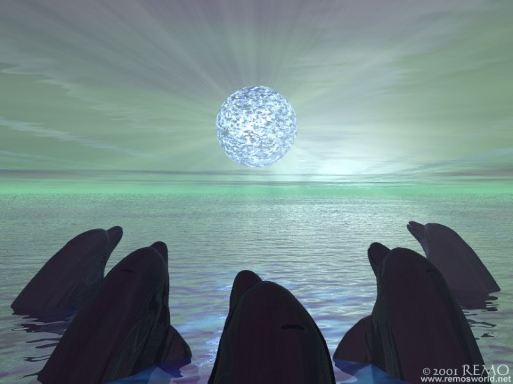 [Delfinesorando.jpg]