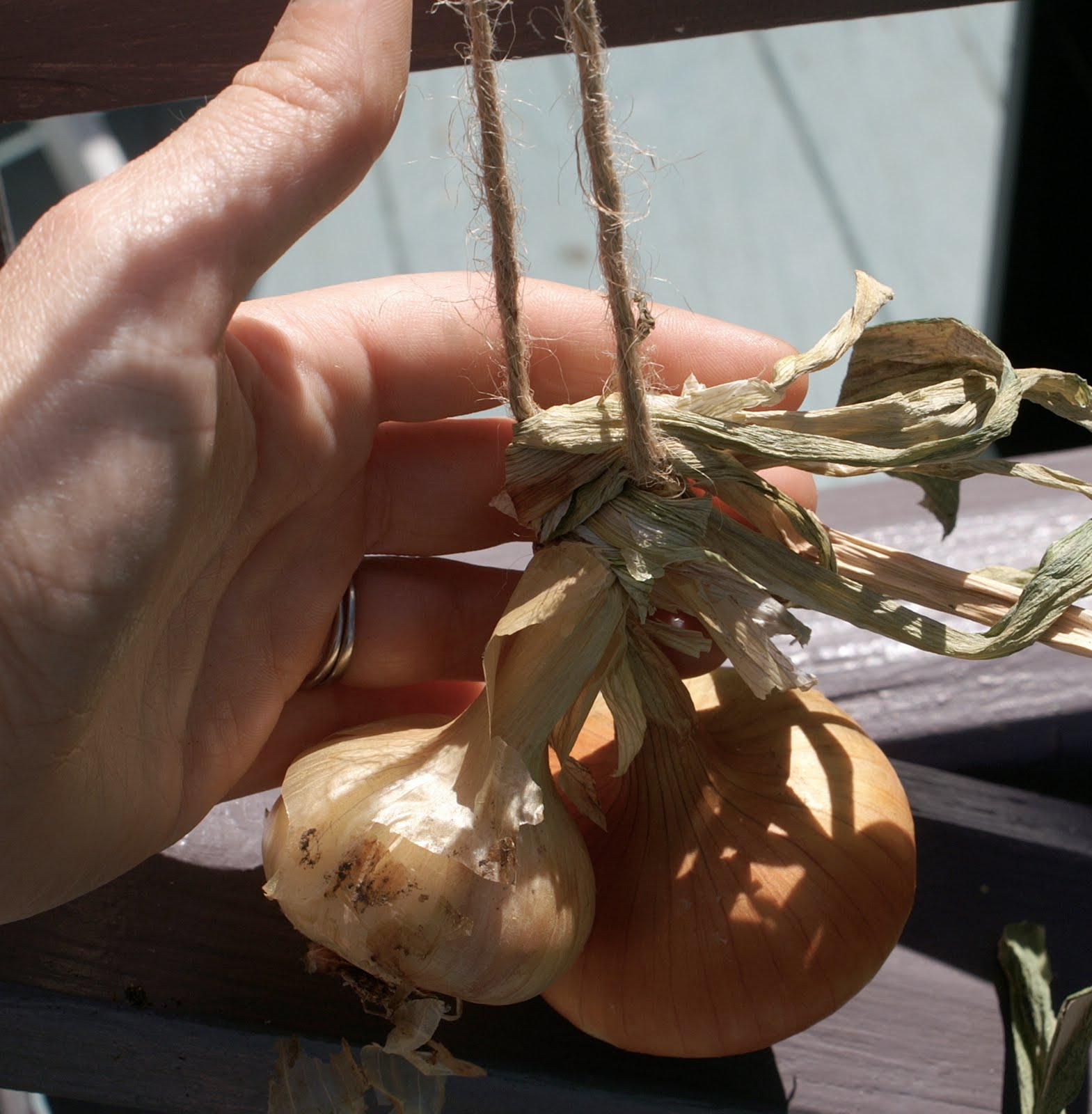 greens and jeans How to String Onions