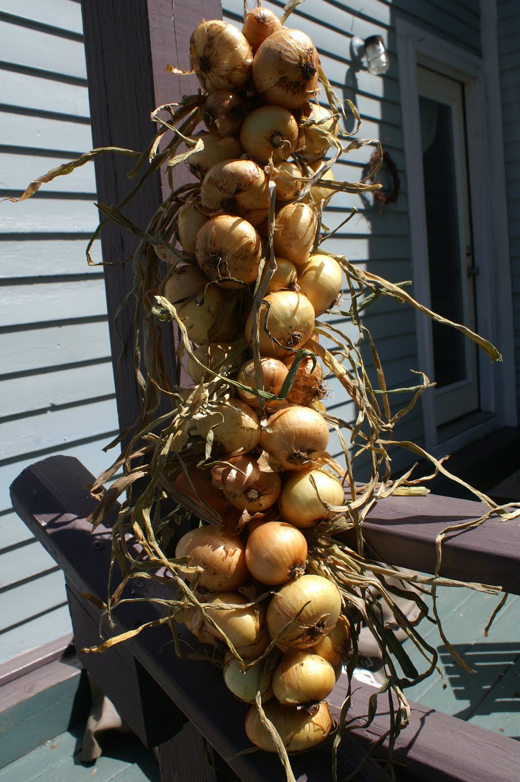 greens and jeans How to String Onions