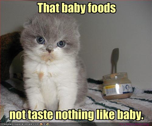 [funny-pictures-kitten-is-disappointed-with-baby-food.jpg]