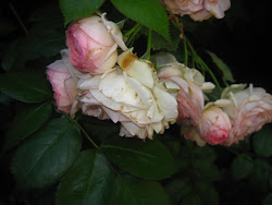Roses- Monet\