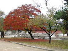 Fall in Seoul