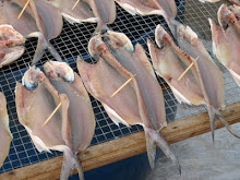 Fish drying in Cheung Chau