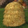 [haystack.jpg]