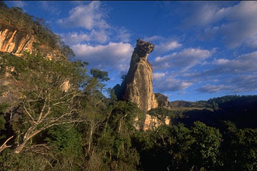 ( 16 de mayo)194 años de Nova Friburgo, mi ciudad... Cao%2520sentado-nova%2520friburgo