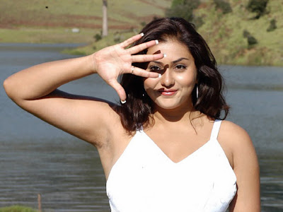 Namitha Babe Sizzles in Which Dress