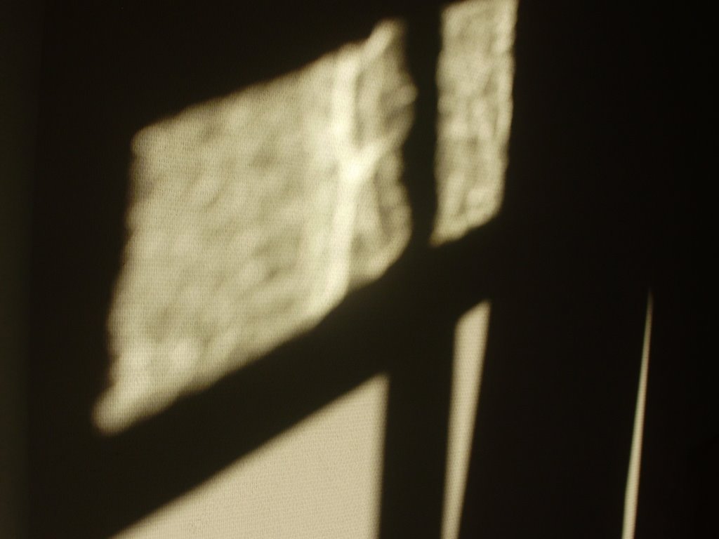 [P6220029.JPG]