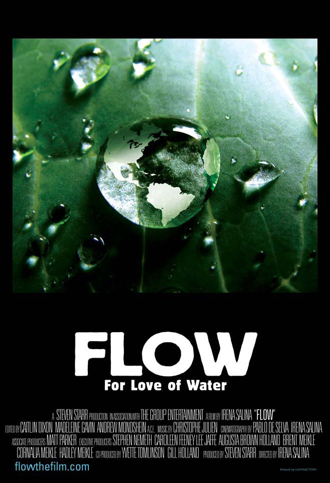 [flow1.jpg]