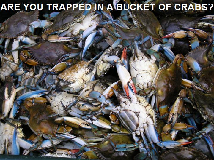 Crabs+in+a+Bucket.jpg