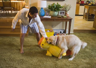 men fucking dogs