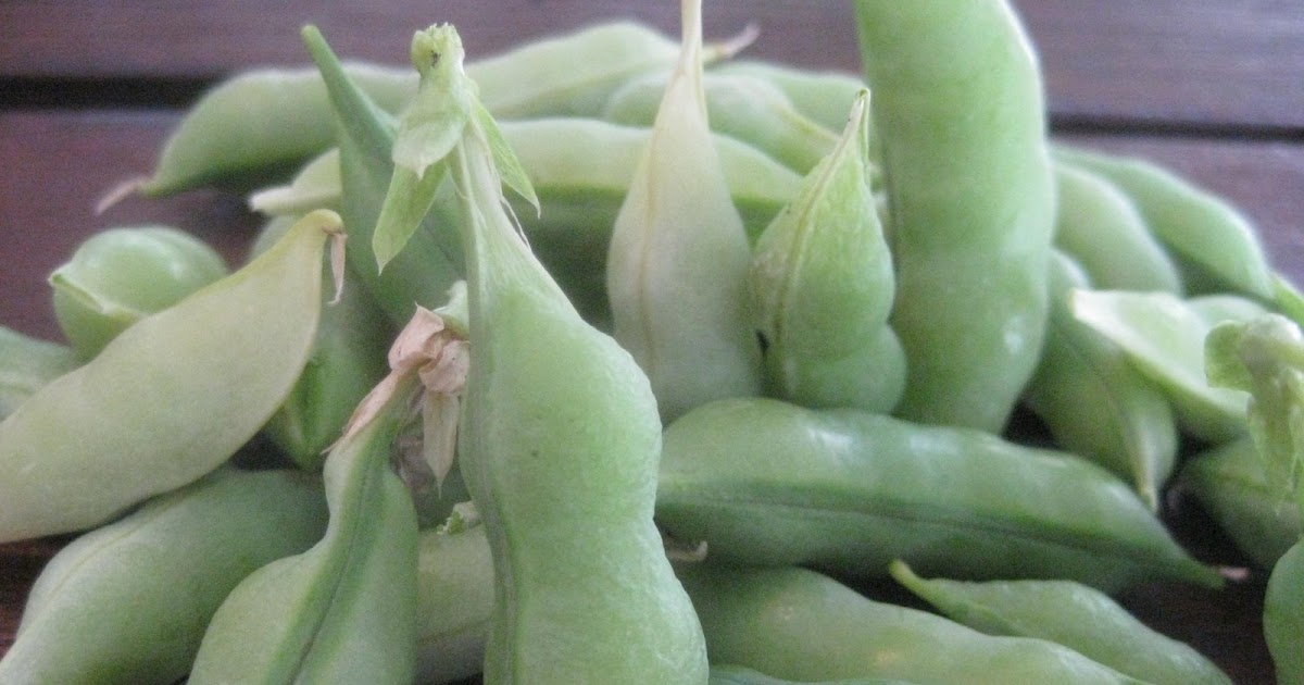 Sweet Peas and Pumpkins Sweet Pea Harvest