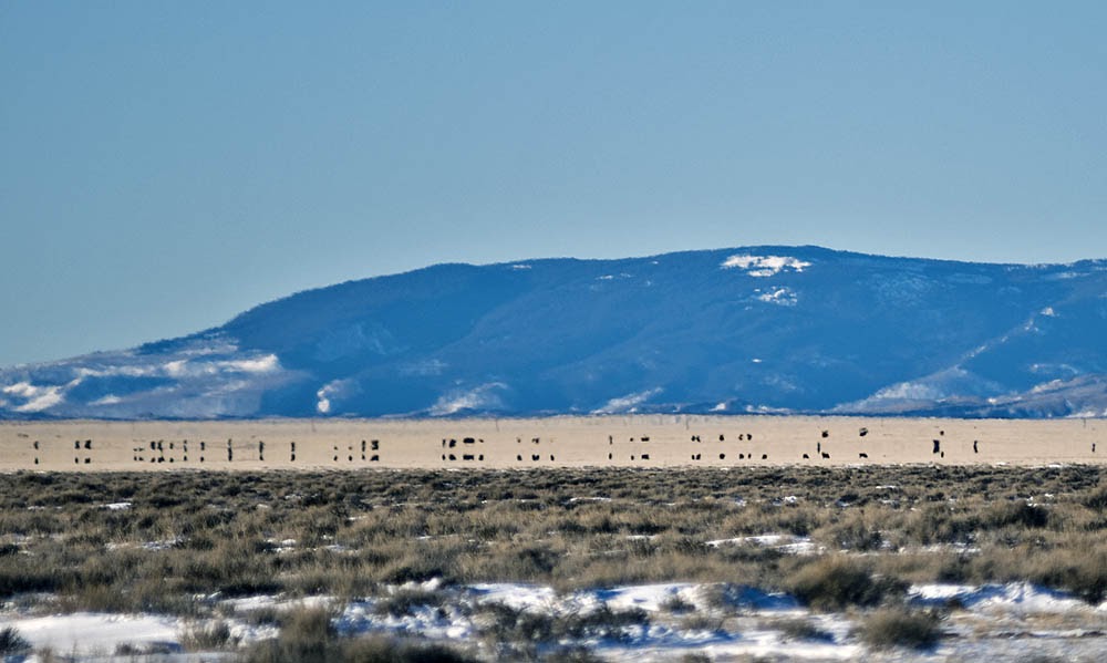 Wyoming Photos Superior Mirage 2