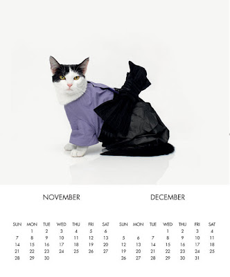 united bamboo 貓 名模 2011年貓咪月曆