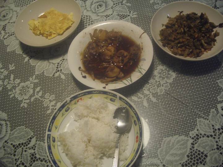 [Resize+of+IMGP7825.JPG]