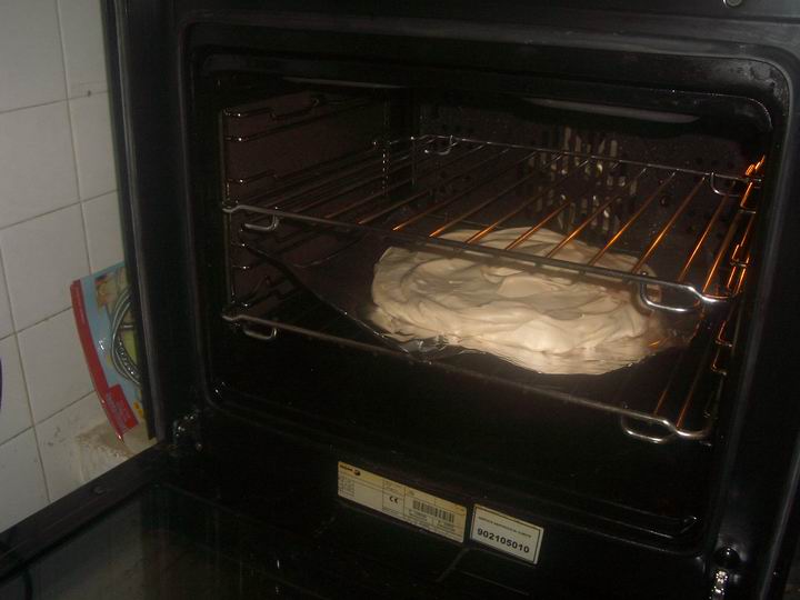 [Resize+of+IMGP8247.JPG]