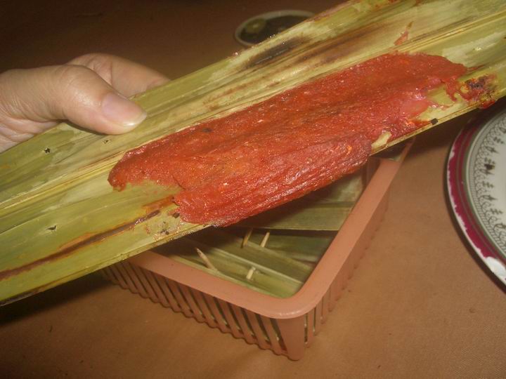 [Resize+of+IMGP8802.JPG]