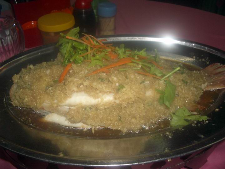 [Resize+of+IMGP9107.JPG]