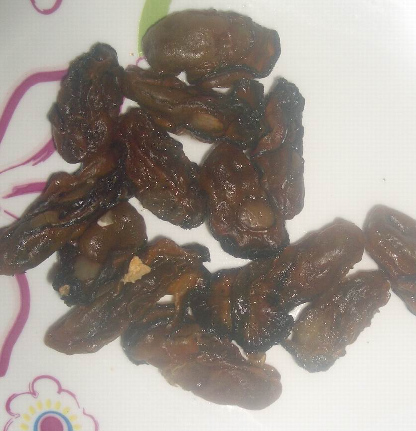 [Resize+of+IMGP9519.JPG]