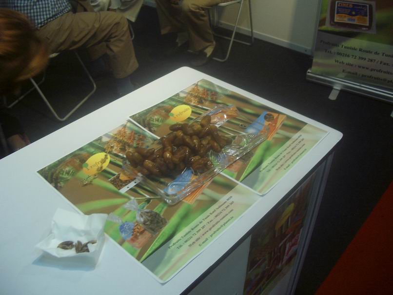 [Resize+of+IMGP0399.JPG]