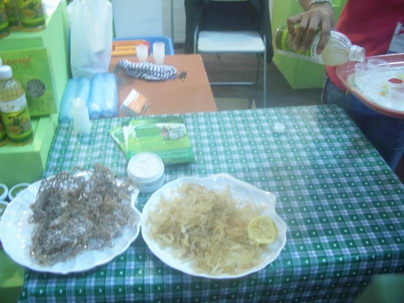 [Resize+of+IMGP0377.JPG]