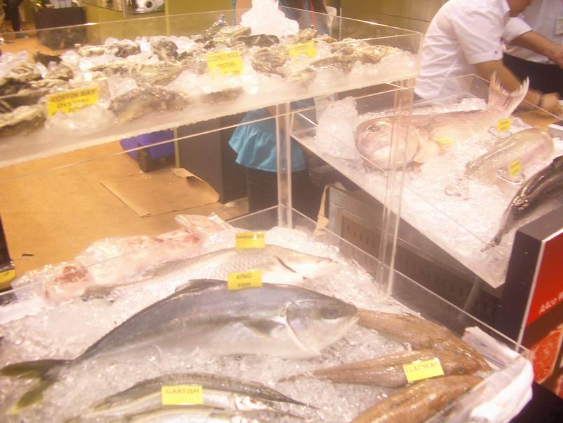 [Resize+of+IMGP0673.JPG]