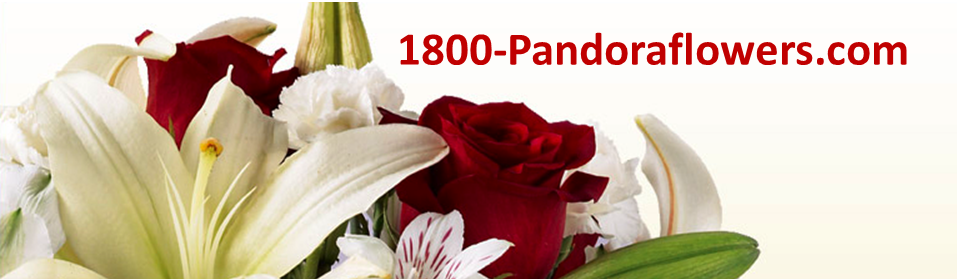 Pandora Flowers: Flower Shop in Mississauga Ontario