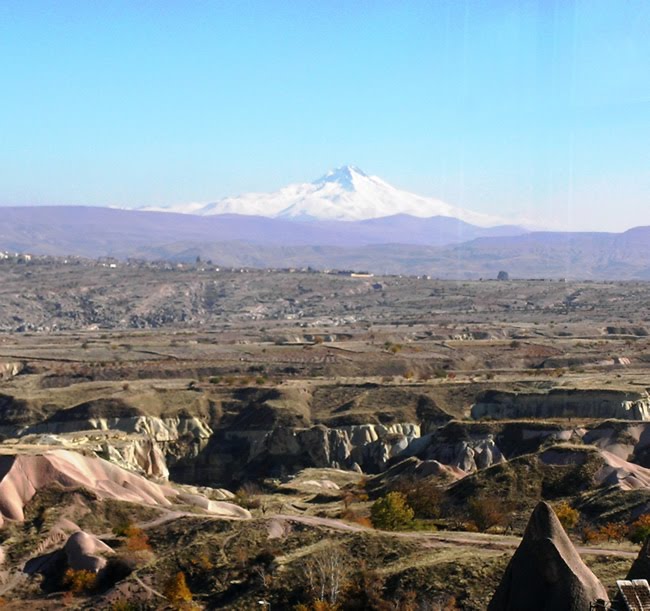 [SANY0014.JPG]