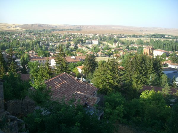 [CIMG0131.JPG]
