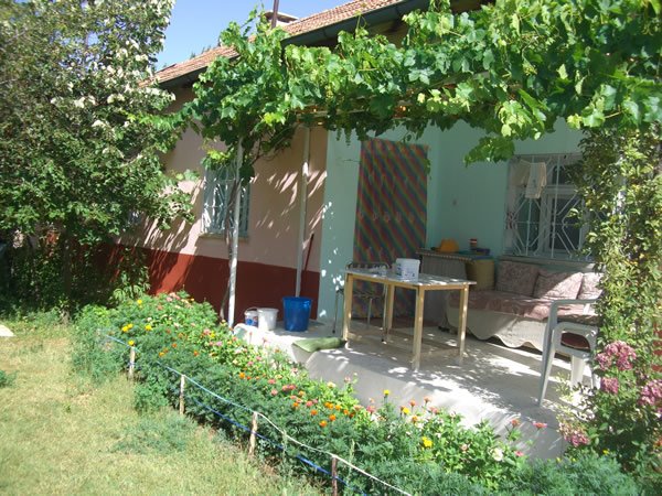 [CIMG0183.JPG]