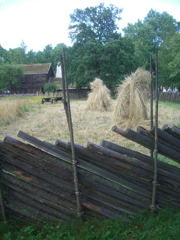 [CIMG0323.JPG]