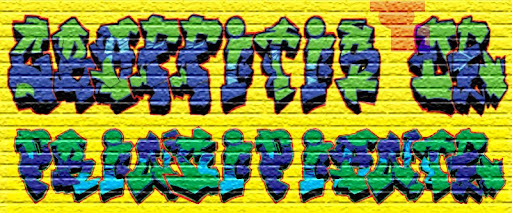 graffitis case