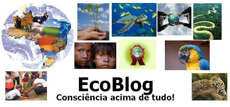 EcoBlog