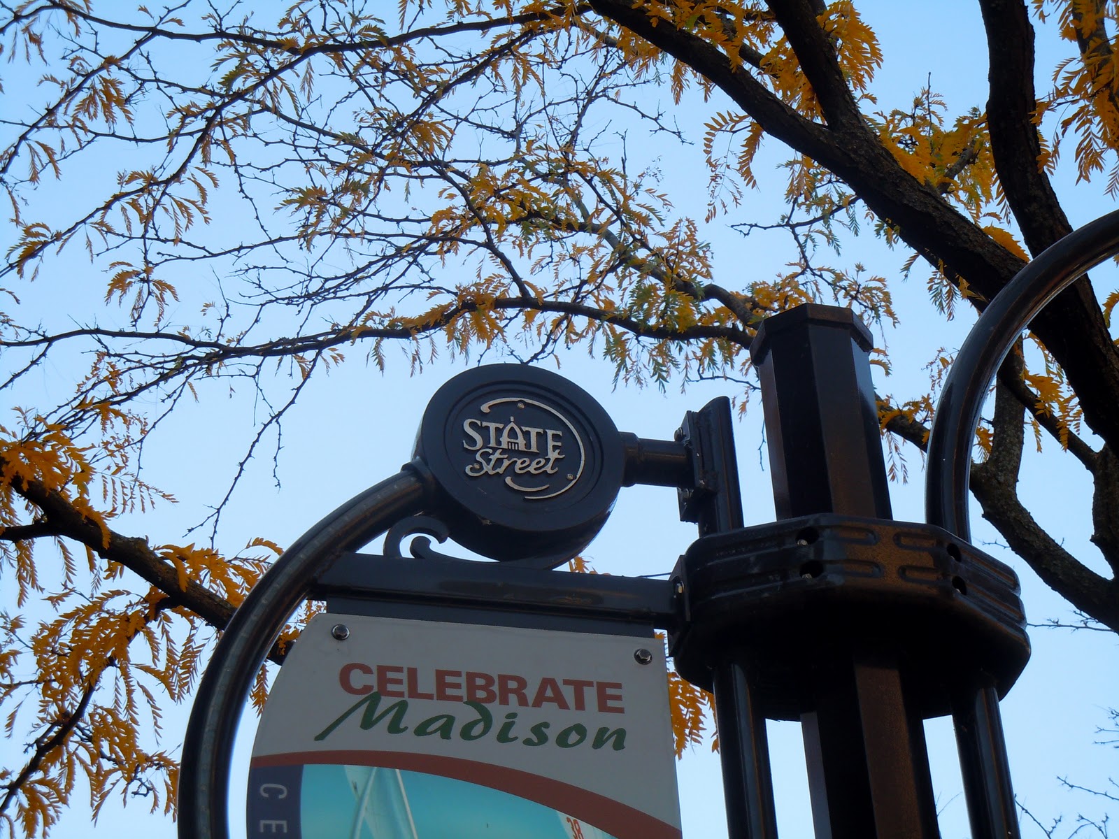 danielle abroad dairy good days II (madison, wi)