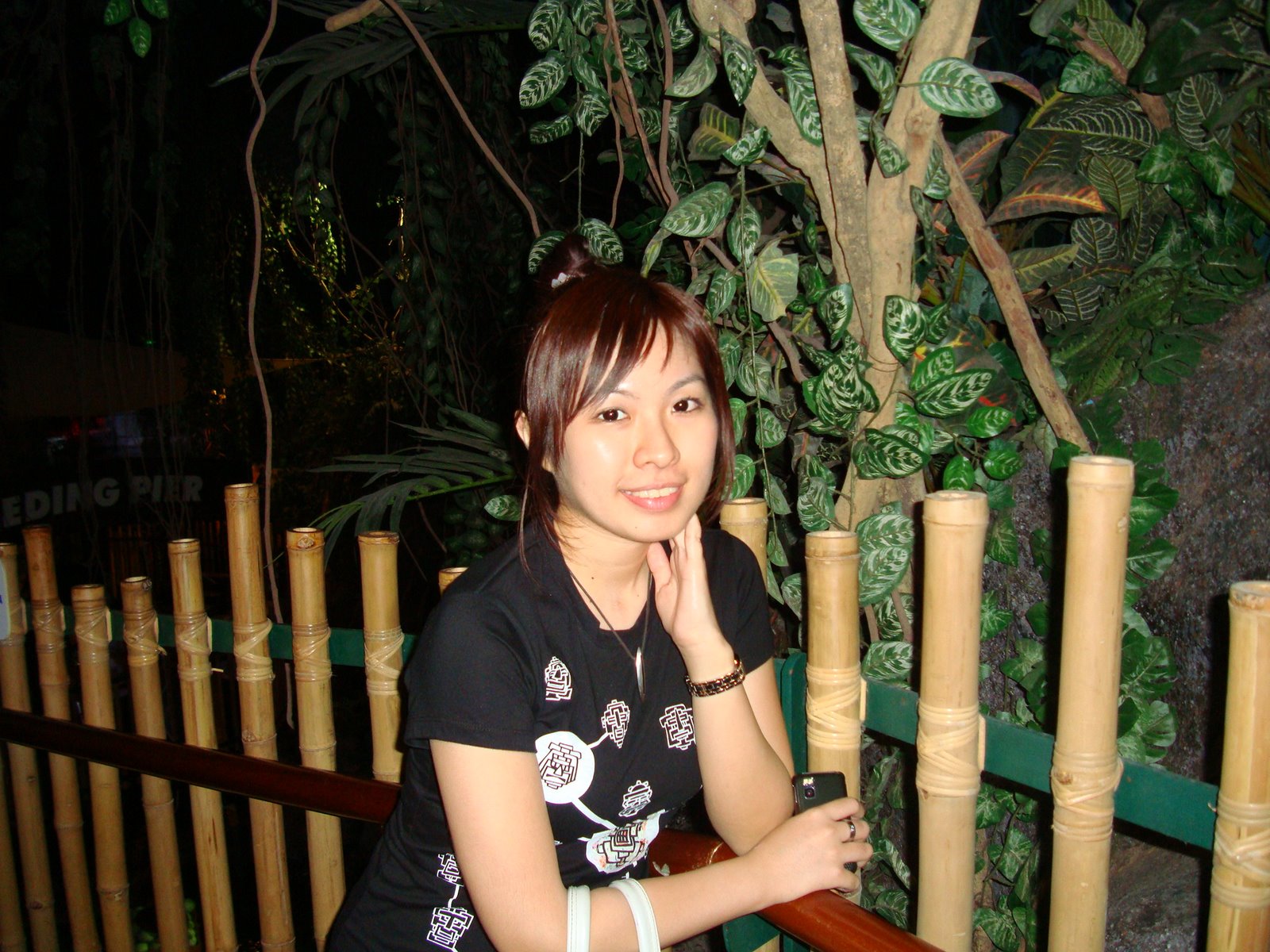 [DSC00256.JPG]