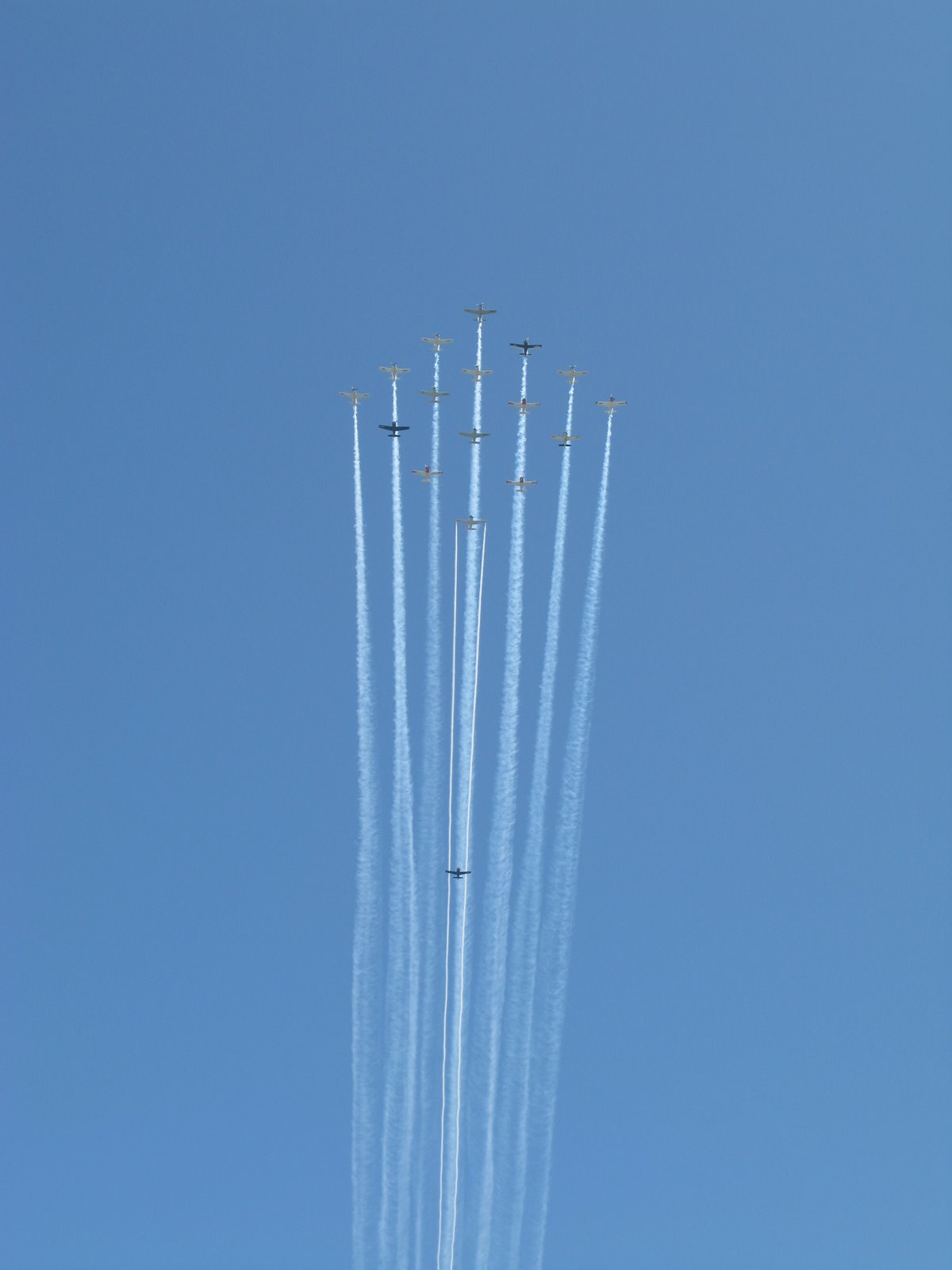 [IMG_0207[1]]
