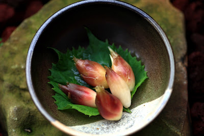 Myoga Pickles