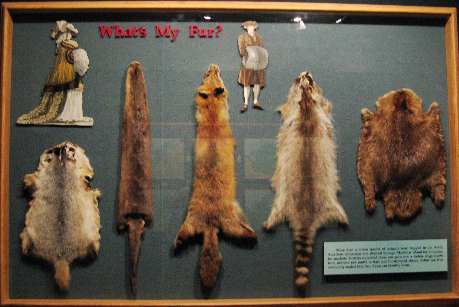 Michigan Fur Trade